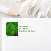 雨滴の差出人住所ラベルが付いているHostAの葉 ラベル (インサイチュ)