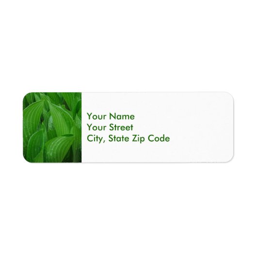 雨滴の差出人住所ラベルが付いているHostAの葉 ラベル (正面)