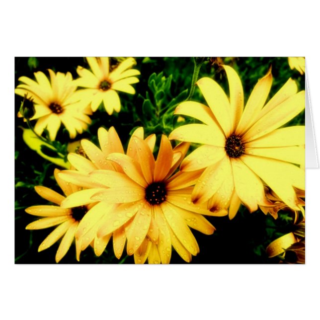 雨滴の花カードが付いている黄色い花 (正面横)