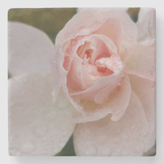 雨滴の薔薇 ストーンコースター (正面)