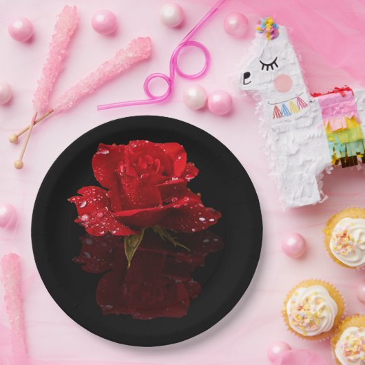 雨滴はの上がりました ペーパープレート (パーティー)