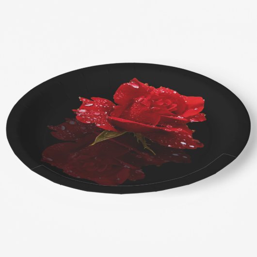 雨滴はの上がりました ペーパープレート (アングル)