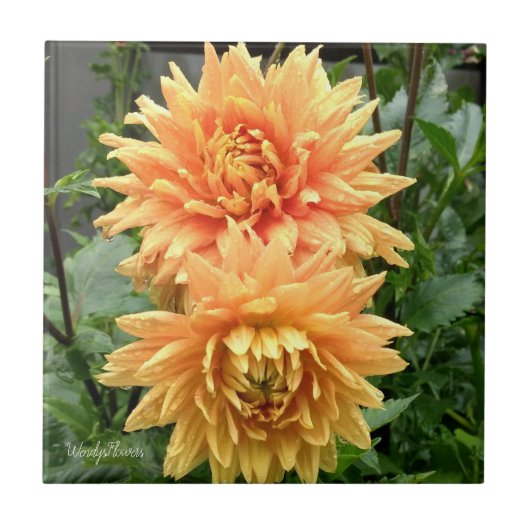 雨滴を伴うオレンジ色のダリアを持つセラミックタイル タイル (正面)