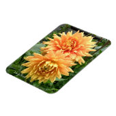 雨滴を伴うオレンジ色のダリアを持つ磁石 マグネット (左側)