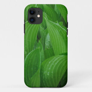 雨滴を持つ若いHostA iPhone 11 ケース