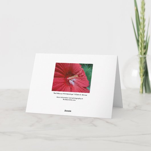 雨滴を持つ赤いハイビスカス カード (裏面)