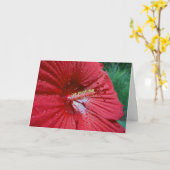 雨滴を持つ赤いハイビスカス カード (黄色い花)