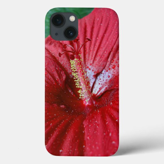 雨滴を纏った赤いハイビスカス Case-Mate iPhoneケース (裏面)