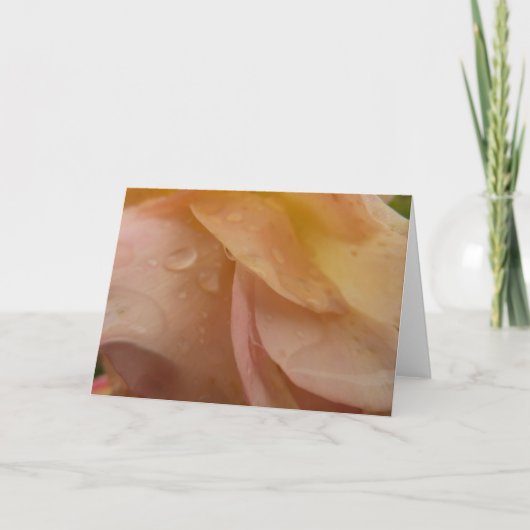 雨滴オンバラ花びらピンクピーチフローラ カード (正面)