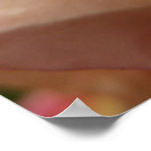 雨滴オンバラ花びらピンクピーチフローラ ポスター (角)