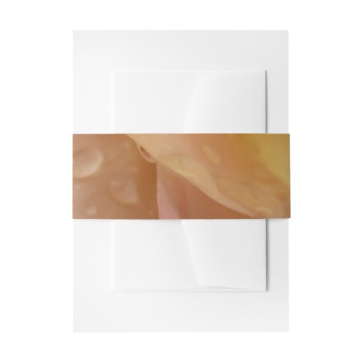 雨滴オンバラ花びらピンクピーチフローラ 招待状ベリーバンド (正面例)