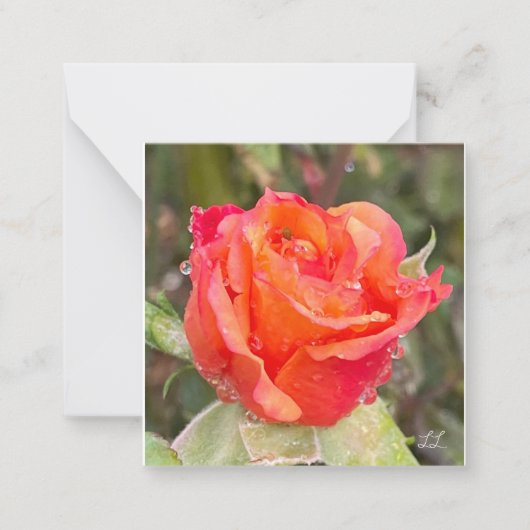 雨滴オンバラ ノートカード (正面)