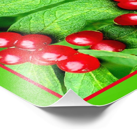 雨滴付きレッドベリー鏡抽象芸術自然 フォトプリント (角)