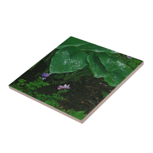 雨滴付き装飾セラミックタイル/ホスト タイル (側面)