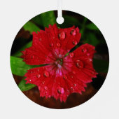雨滴付き赤い花(写真) メタルオーナメント (裏面)