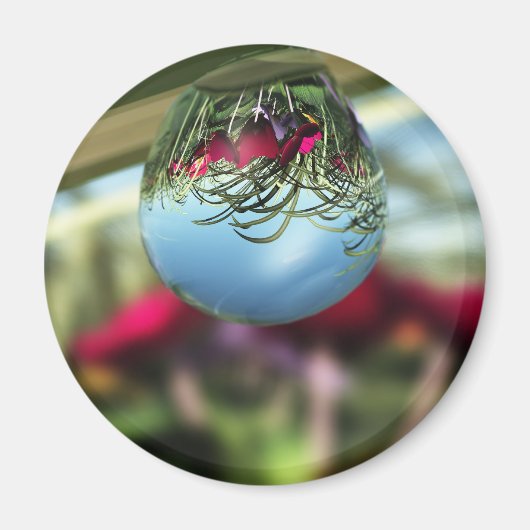 雨滴磁石のバラ マグネット (正面)