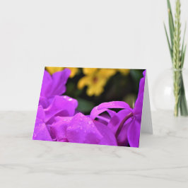 雨滴、カード カード