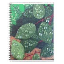 「雨滴」スパイラルノート