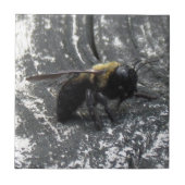 雨滴 タイル (正面)