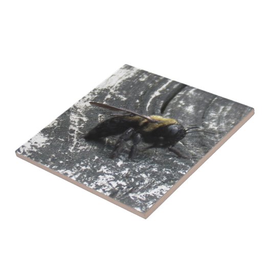 雨滴 タイル (側面)