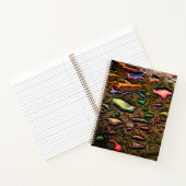 雨滴 ノートブック (内部)