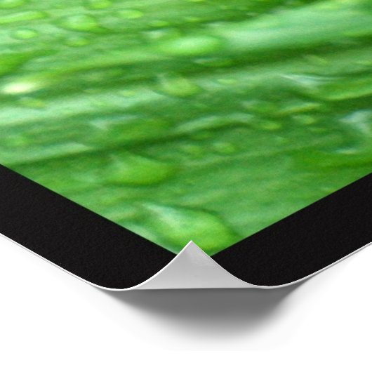 雨滴 ポスター (角)