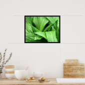 雨滴 ポスター (キッチン)