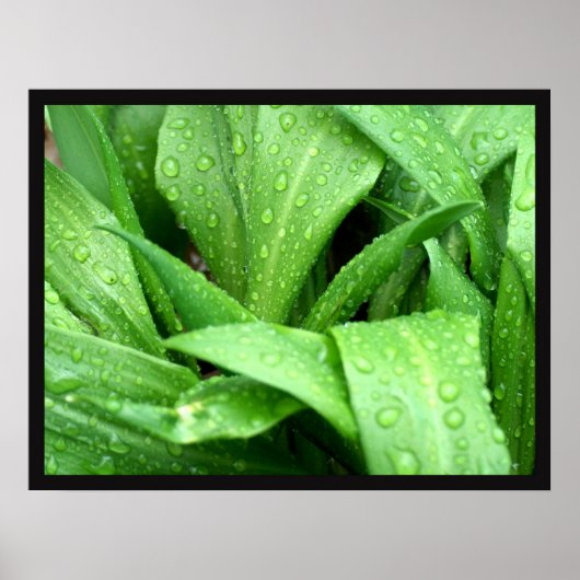 雨滴 ポスター (正面)