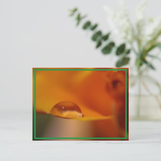 雨滴 ポストカード (スタンド正面)