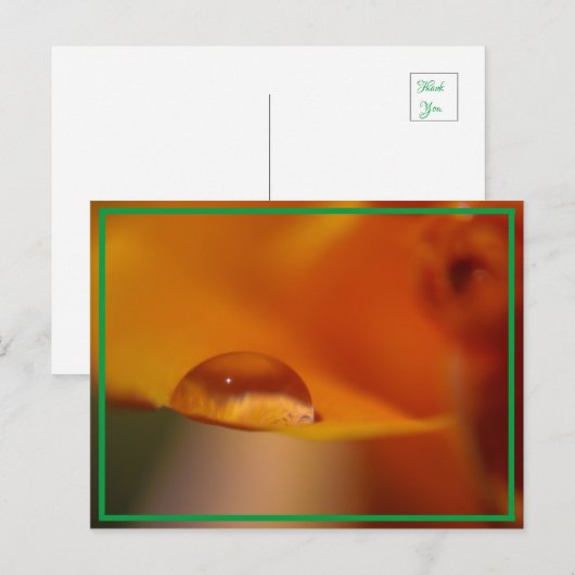 雨滴 ポストカード (正面/裏面)