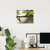 雨滴（マット） ポスター (ホームオフィス)