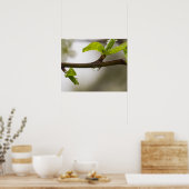 雨滴（マット） ポスター (キッチン)