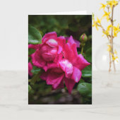 雨滴&レッドローズ、カード カード (黄色い花)