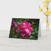 雨滴&レッドローズ、カード カード (黄色い花)