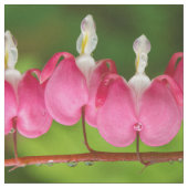 雨生地の大げさに同情する人 ファブリック (見本)