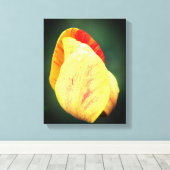 雨粒が近いチューリップ花花びら キャンバスプリント (インサイチュ (ウッドフロア))