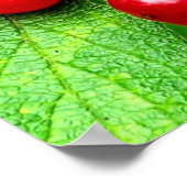 雨粒が近い赤い果実 ポスター (角)