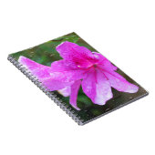 雨粒と素敵なピンクの庭の花。フローラ ノートブック (右側)