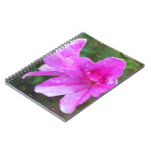 雨粒と素敵なピンクの庭の花。フローラ ノートブック (左側)