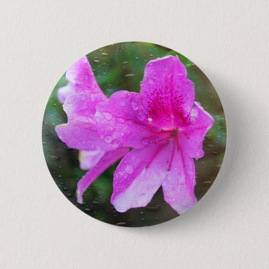 雨粒と素敵なピンクの庭の花。フローラ 缶バッジ (正面)