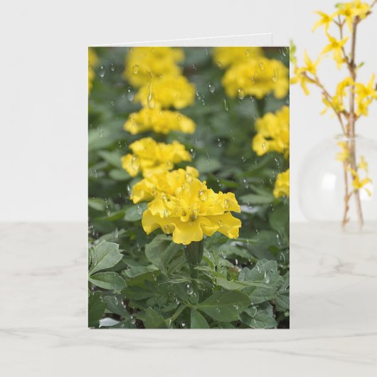 雨粒と霜降りの花 カード (黄色い花)