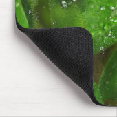 雨粒のあるアイルランドのシャムロック マウスパッド (コーナー)