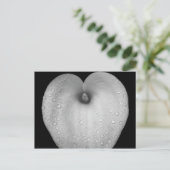 雨粒のユリ ポストカード (スタンド正面)