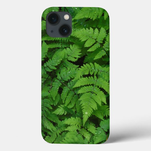 雨粒のワシントン州 Case-Mate iPhoneケース (裏面)