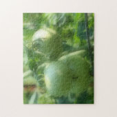 雨粒の入った緑のトマト自然 ジグソーパズル (縦)