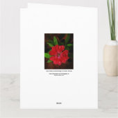 雨粒の大きなサンキューカード サンキューカード (裏面)