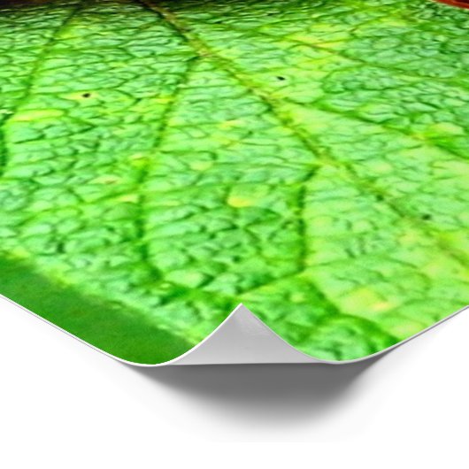 雨粒を持つ赤い果実自然 ポスター (角)