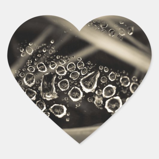 雨粒オンくもの巣 ハートシール (正面)