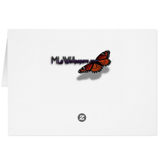 雨粒オンデイジーIIワイルドフラワーフローラ (裏面横)