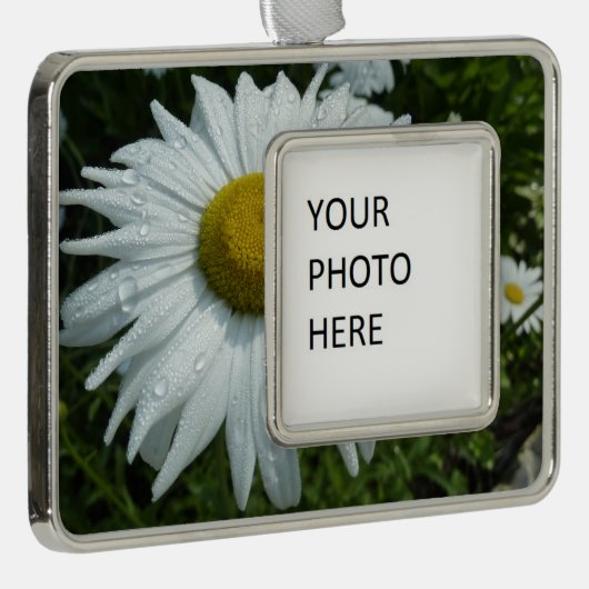 雨粒オンデイジーIIワイルドフラワーフローラ シルバープレートフレームオーナメント (右)